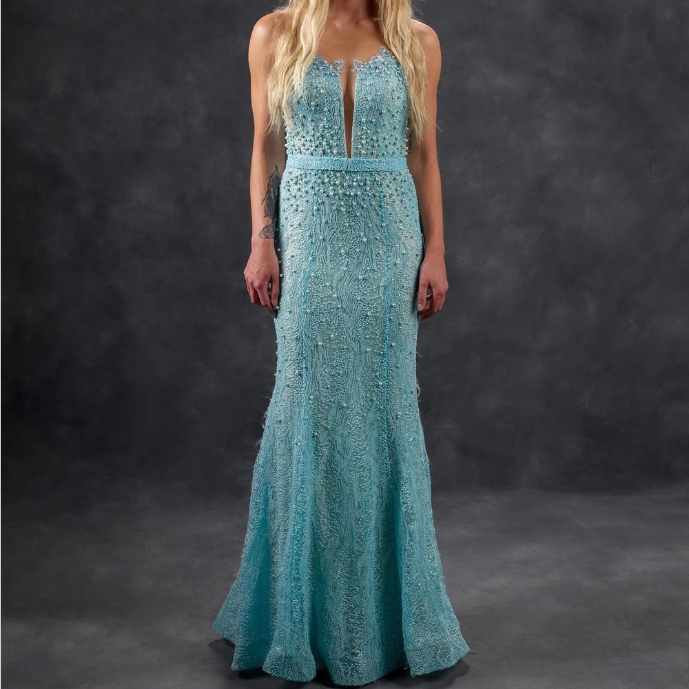 Turquoise Embellished Gown
